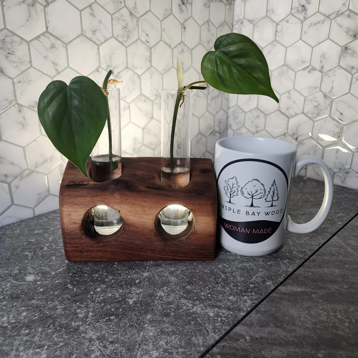 Plant-Propagation-Stations-Vases Triple Bay Made