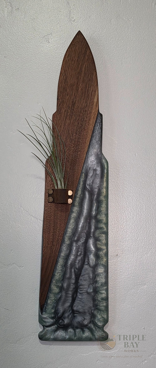 Bullet-shaped dark walnut and smoky resin wall art with leather air plant holder