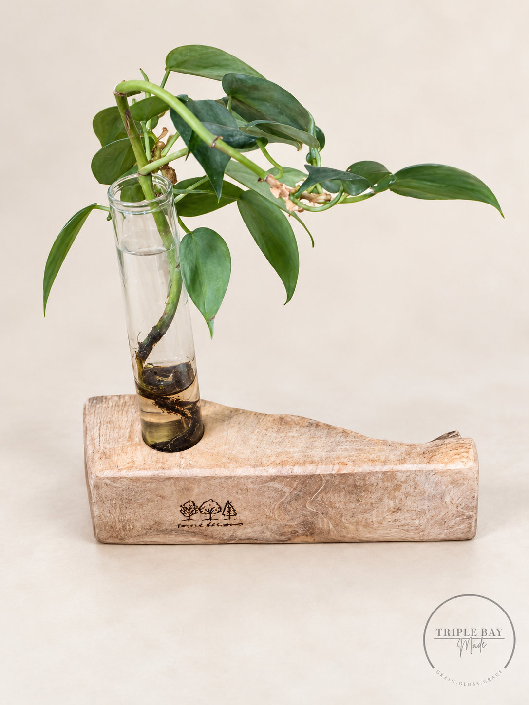 Reverse of burl wood propagation station with maker mark and a demonstration plant cutting, plant not included