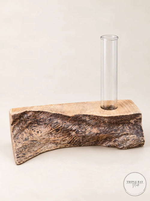 Live edge burl wood propagation holder with clear glass test tube and swirling dark grain
