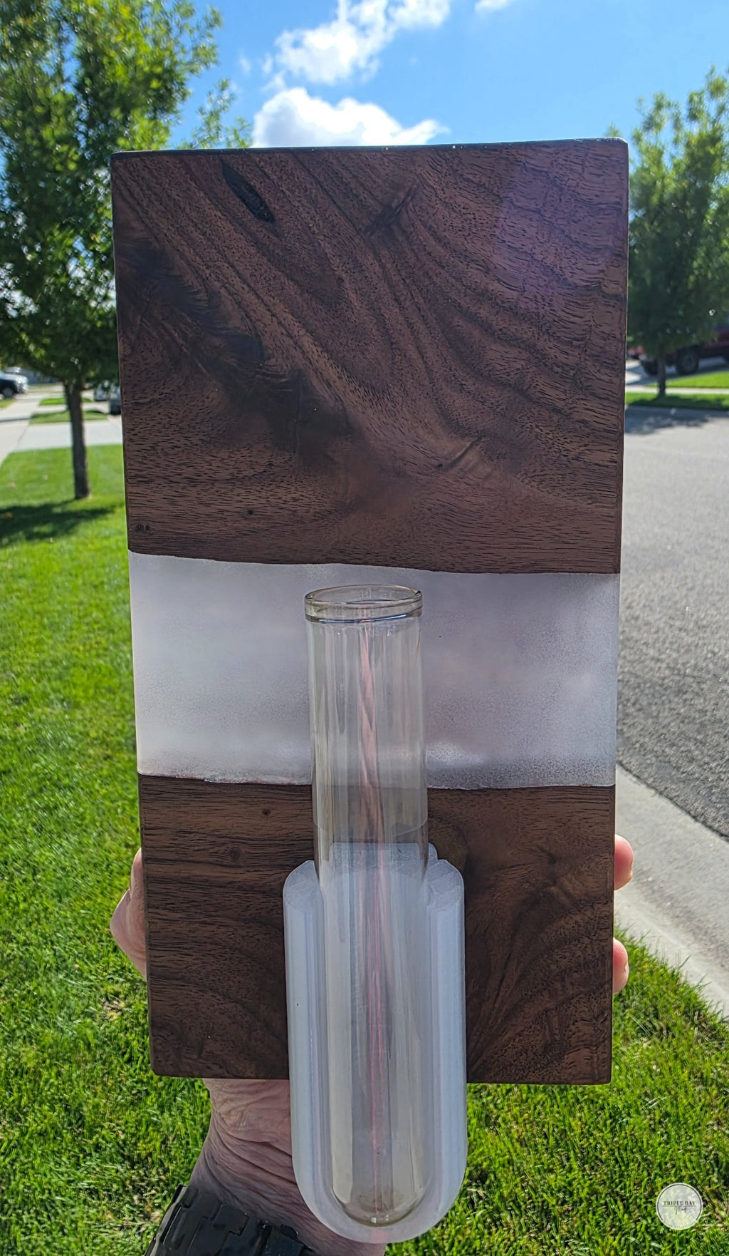 Dark walnut and pearly resin propagation wall art with included glass tube and 3D-printed holder