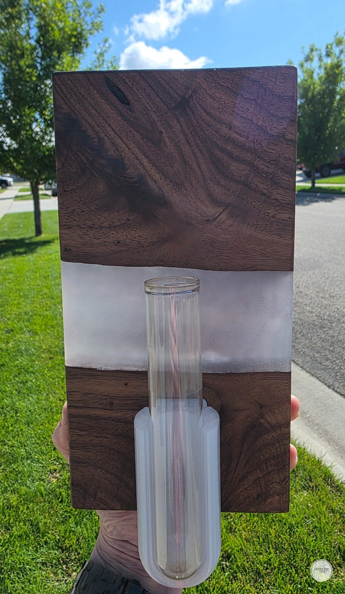 Dark walnut and pearly resin propagation wall art with included glass tube and 3D-printed holder